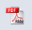 Scarica il pdf